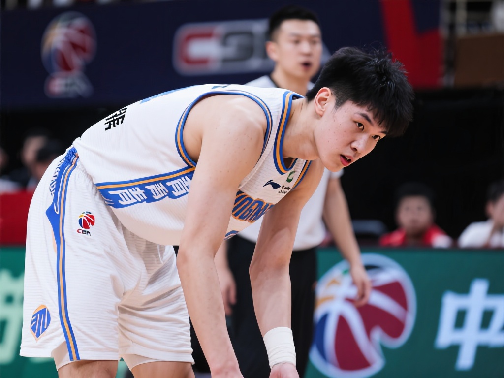 的情感和归 的情感和归